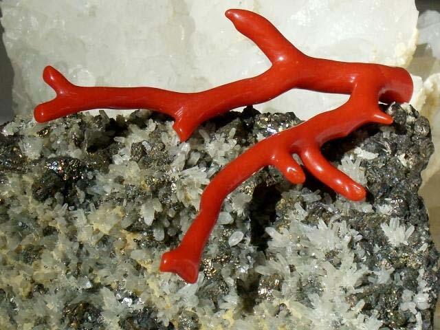 Il corallo di Trapani