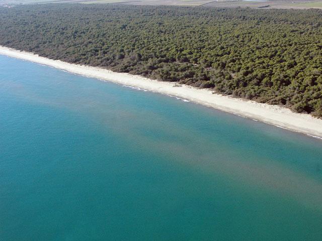 Partite E Lezioni Di Golf A Metaponto Gli Editoriali Di Originalitaly Originalitaly It Il Meglio In Italia