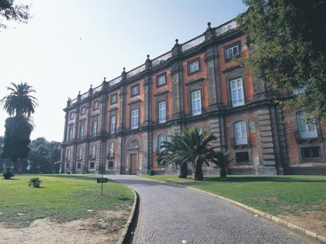 Museo di Capodimonte e Museo Archeologico Nazionale