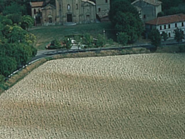 Parco storico del basso Monferrato