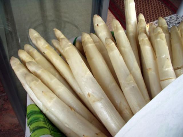 asparagi bianchi